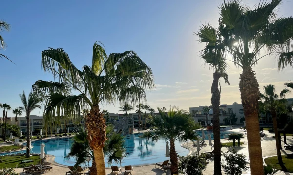 Туристов отвезут в Египет и обратно за 5 тысяч рублей