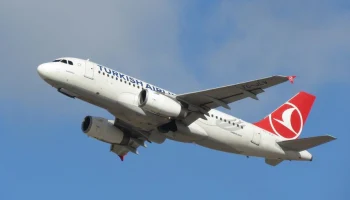 Авиакомпания Turkish Airlines снова не доставила часть багажа во Внуково