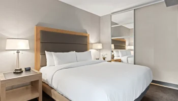 Туристы пожаловались на &laquo;толпу муравьев&raquo; в пятизвездочном отеле в Турции