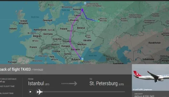 Из-за «ковра» в Пулково Turkish Airlines отменила рейсы в Анталью и Стамбул