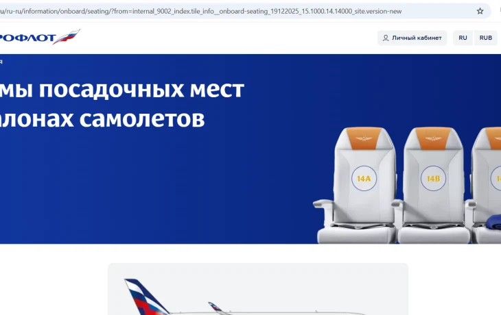 Туристы в шоке от ошибки &laquo;Аэрофлота&raquo; с зеркальной рассадкой