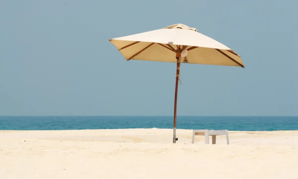 Некоторые россияне летят на отдых в Дубай несмотря на риски и рекомендации «воздержаться» Некоторые россияне летят на отдых в Дубай несмотря на риски и рекомендации «воздержаться»