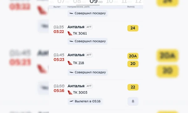 Туристы в ночь на 9 мая улетали в Турцию почти без приключений