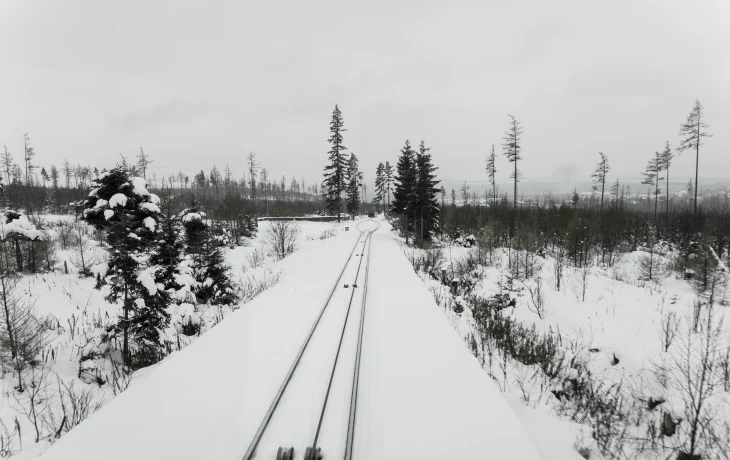 РЖД заморозили цены на билеты в «Сапсаны», которых практически нет РЖД заморозили цены на билеты в «Сапсаны», которых практически нет