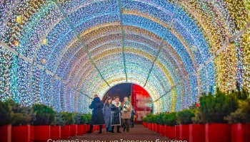 Где погулять в новогоднюю ночь в Москве и будет ли открыта Красная площадь