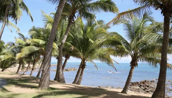 Туристам не подтвердили уже оплаченный номер в отеле Хайнаня