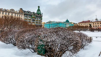 В Санкт-Петербурге на 8 Марта разобрали почти все недорогие отели с отличными отзывами