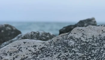 Дагестан вместо Анапы: туристы в России меняют курортные планы