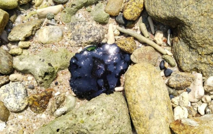 Туристов предупредили: мазут добрался до островов Рача рядом с Пхукетом