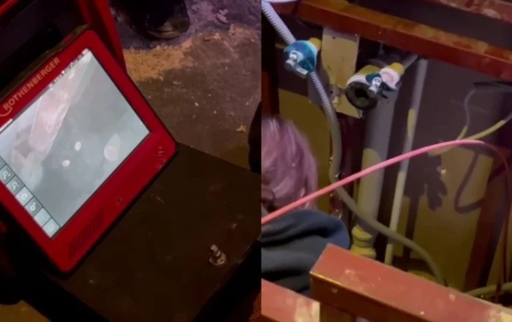 В аэропорту Стамбула 12 часов искали кота россиянки