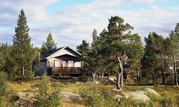 В Петербурге хотят легализовать аренду домов для туристов