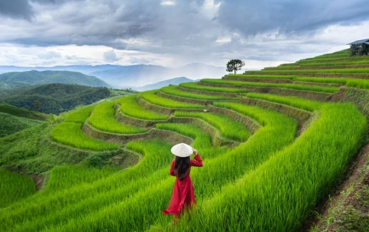 Вьетнам ввел электронные карты прибытия для туристов