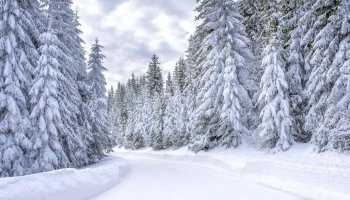 В Пермском крае уже четвертые сутки ищут пропавших туристов
