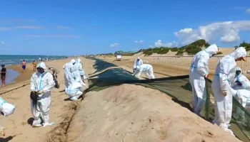 На пляжах Анапы убирают защитные валы