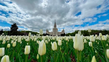 Москва стала привлекательнее Нью-Йорка, Парижа и Японии