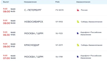 Из-за вечернего &laquo;ковра&raquo; в Сочи часть рейсов перенесли на утро