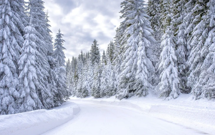 В Пермском крае уже четвертые сутки ищут пропавших туристов