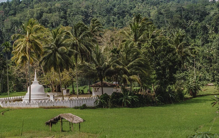 Туристы вылетели на Шри-Ланку из Новосибирска на трое суток позже графика