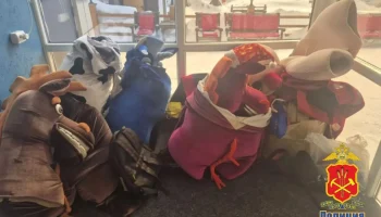 Лошадь и зебра в Шерегеше оказались в полиции из-за приставаний к туристам