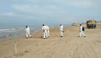 Туристам пообещали избавить Анапу от мазута к июлю