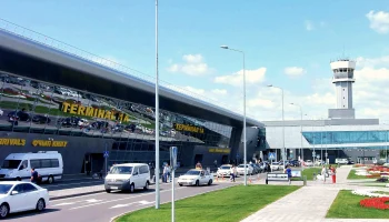 Туристы в Казани дождались рейса Turkish Airlines с застрявшим в Турции багажом