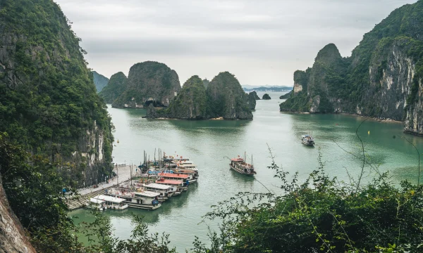 Россия рассматривает упрощение въезда для туристов из Вьетнама