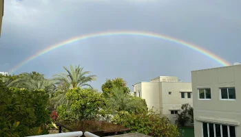 На Дубай обрушилась непогода: затопило улицы и здания