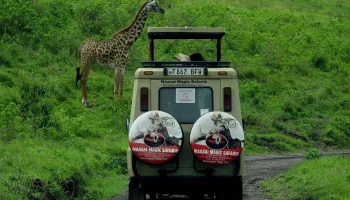 Переговоры об авиасообщении России с Танзанией вышли на финишную прямую