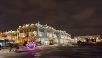 Поп-группы, фокусники и гимнасты: что предложат отели Петербурга на Новый год