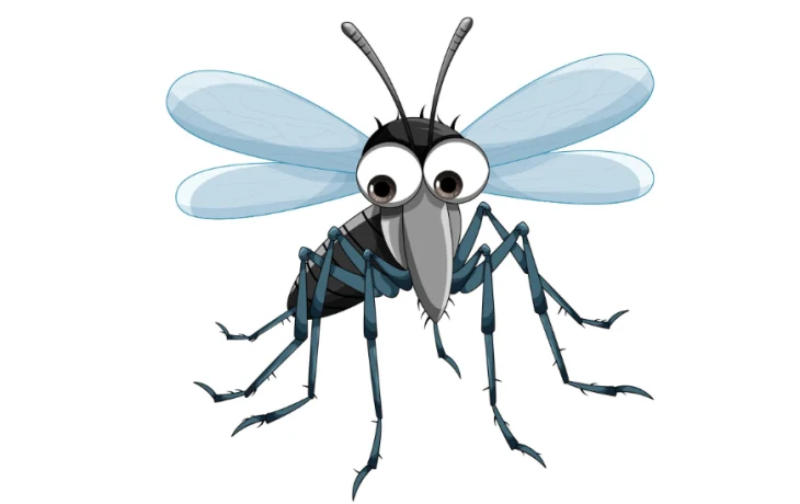 Туристов напугали тигровыми комарами в Гоа Туристов напугали тигровыми комарами в Гоа