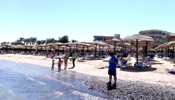 Туристов в Хургаде обеспокоил цвет моря: пляжи стали красными