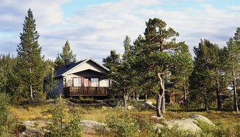 В Петербурге хотят легализовать аренду домов для туристов В Петербурге хотят легализовать аренду домов для туристов