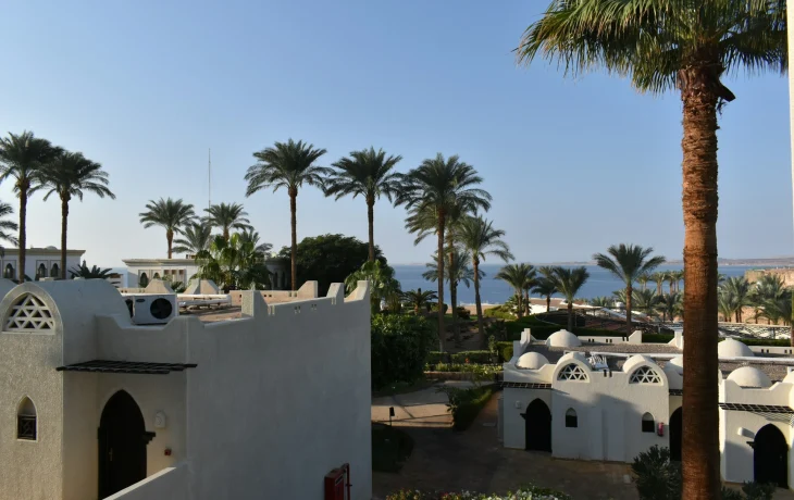 Авиакомпании соревнуются в дешевизне билетов в Египет