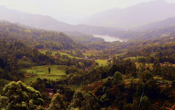 Может ли туристов на Шри-Ланке затронуть топливный кризис