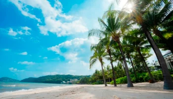 Отдых на вьетнамском курорте резко подорожал в канун китайского нового года