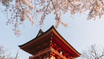 Туристы назвали маршруты, которыми удобнее всего добираться в Японию