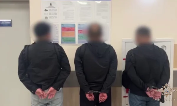 Трое иностранцев пойдут под суд за кражу вещей у пассажиров рейса Абу-Даби &ndash; Москва