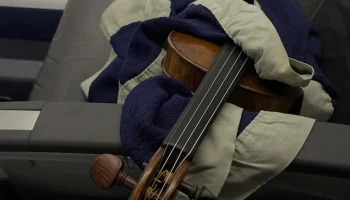 Lufthansa пересмотрела правила провоза ручной клади после скандала со скрипкой