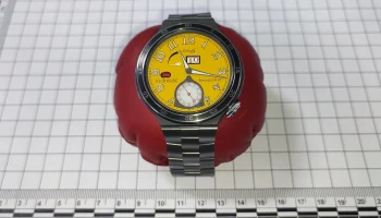 ФТС: турист попытался ввезти в Россию из Польши часы за 12 миллионов рублей