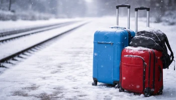 Пассажиров поезда Рязань &ndash; Москва высадили посередине пути и отправили бродить по сугробам