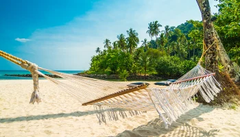 Популярные пляжи Фукуока внезапно стали непригодными для купания