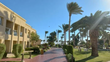 Новогодние банкеты в отелях Египта предлагают сделать необязательными Новогодние банкеты в отелях Египта предлагают сделать необязательными