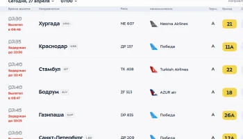 &laquo;Сидим в самолете с 7 утра&raquo;: туристы не могут вылететь из Москвы