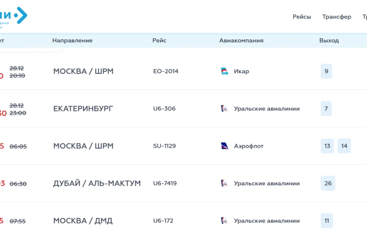 Из-за непогоды в аэропорту Сочи задержки до 15 часов