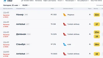 Из-за &laquo;ковра&raquo; во Внуково рейсы из Турции и Дубая ушли на запасные аэродромы