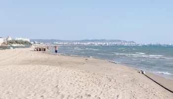В Анапе из-за мазута недосчитались почти 3 миллионов туристов