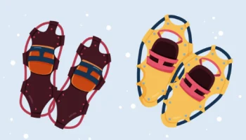 Европейских туристов, попавших в Россию, будут судить в Финляндии