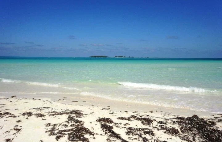 Из-за урагана «Мелисса» российских туристов на Кубе пришлось временно эвакуировать Из-за урагана «Мелисса» российских туристов на Кубе пришлось временно эвакуировать