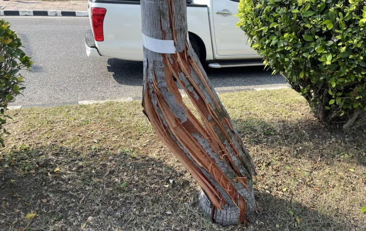 В Паттайе российский турист погиб на &laquo;смертельном повороте&raquo;