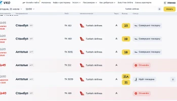 Ночной «ковер» во Внуково прибавил несколько отмен рейсов у Turkish Airlines